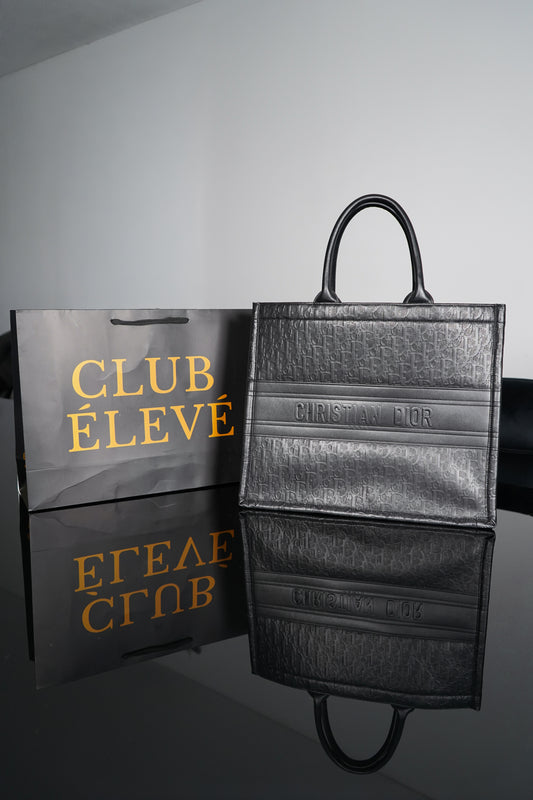 Dior Large Book Tote